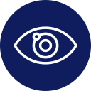 vision